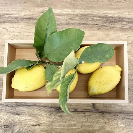 Rosario 1dn By Rosario * Porto