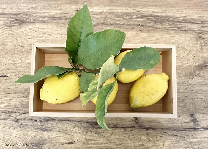 Rosario 1dn By Rosario * Πόρτο